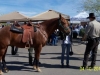 resize-of-pinal-county-ride-18