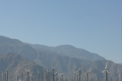 2011 Palm Springs