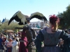 falconry-05