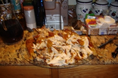 2011 Christmas Turkey