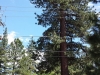 2015 Reno Trip-20