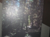 Alpine Visitors Center - 10