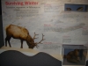 Alpine Visitors Center - 12