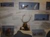 Alpine Visitors Center - 13