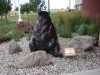 Embassy Suites Loveland - 06
