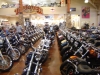 Thunder Mountain H-D - 18