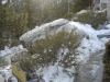 Palm Springs Aerial Tram - 61