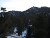 Palm Springs Aerial Tram - 68
