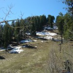 Snow on the hillside - 1